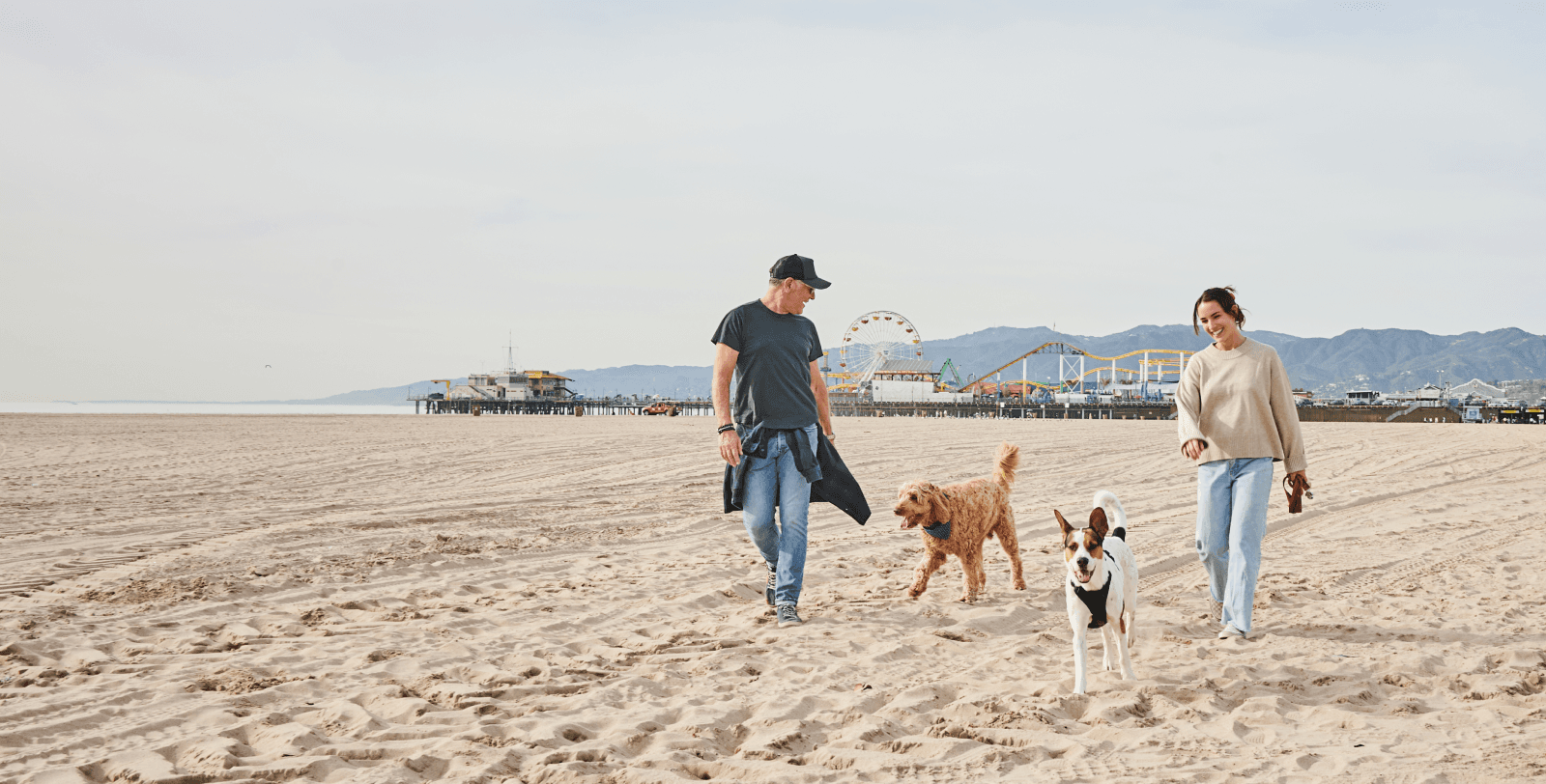 dog running on beach